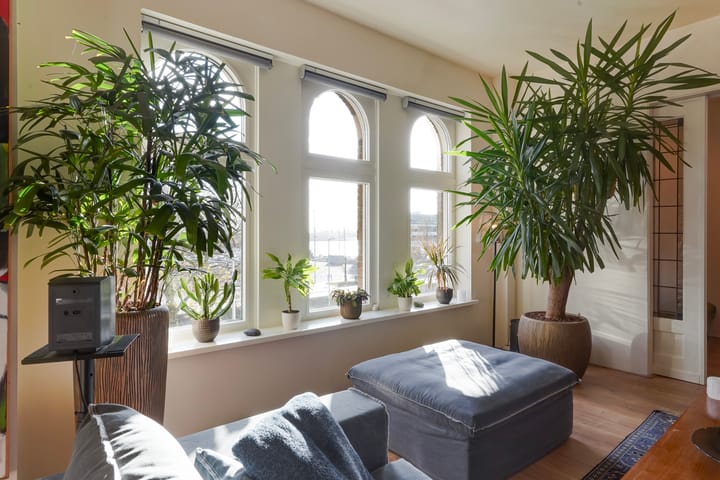 Foto 22 van Looiershof 25