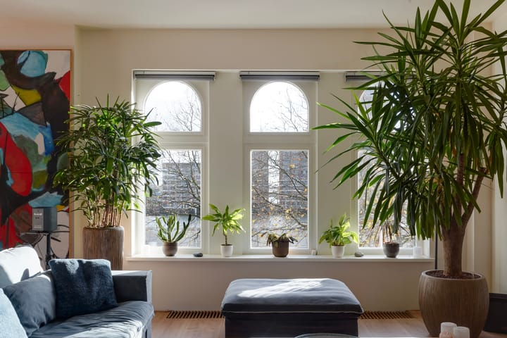 Foto 23 van Looiershof 25