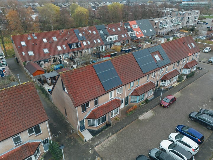 Foto 5 van Vlotgras 15