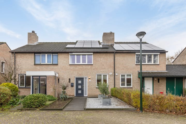 Foto 1 van Lisdodde 12