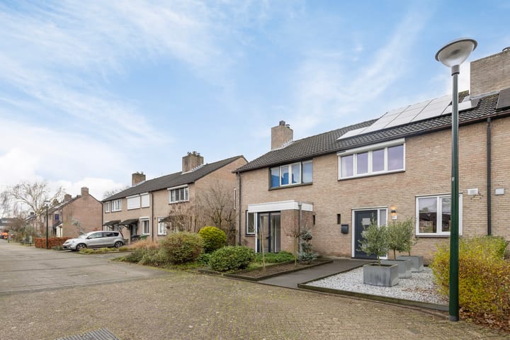 Foto 3 van Lisdodde 12