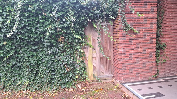 Foto 51 van Dokter Teenstralaan 8