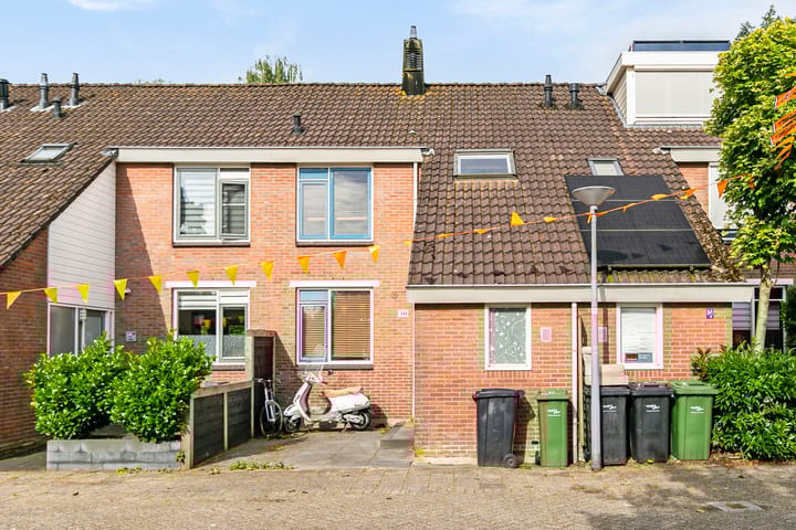 Foto 1 van Witte Klaver 30