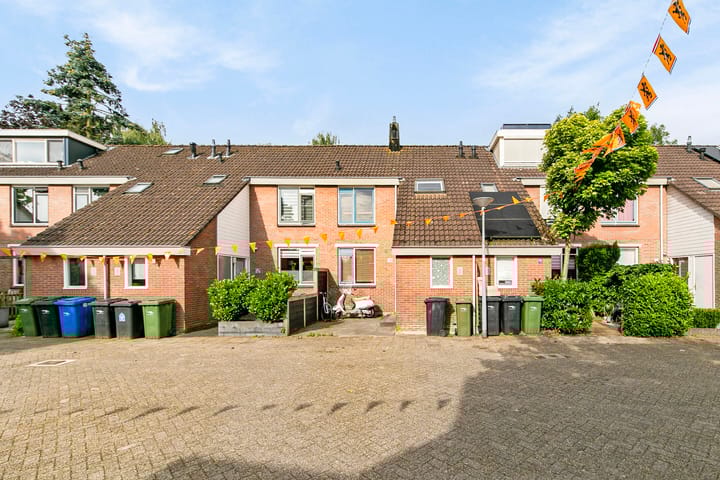 Foto 6 van Witte Klaver 30