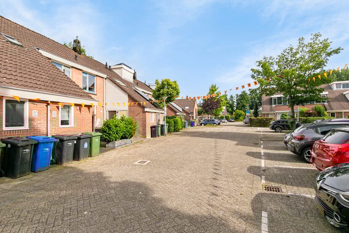 Foto 8 van Witte Klaver 30