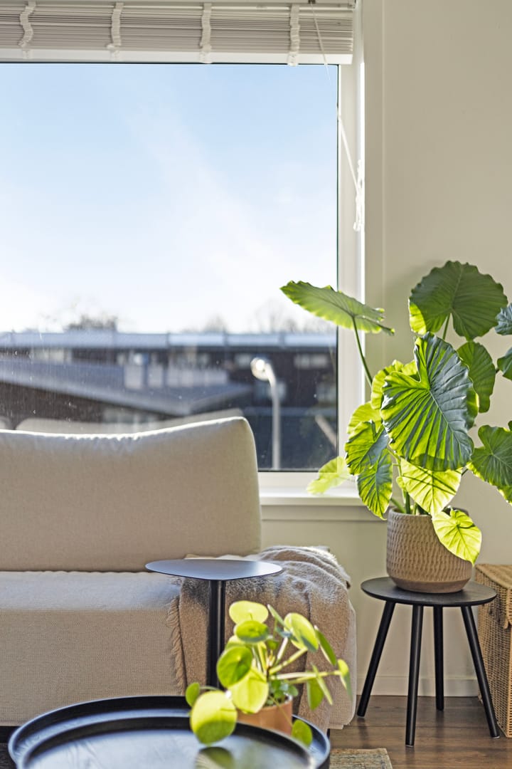 Foto 4 van Anjelierlaan 22-1