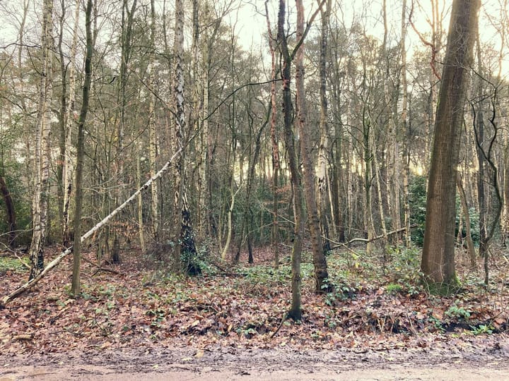 Foto 1 van Hazenpad 7