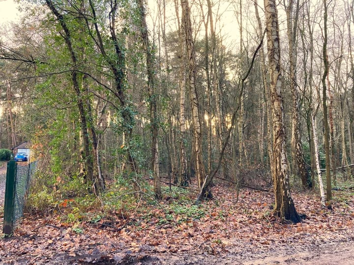 Foto 2 van Hazenpad 7