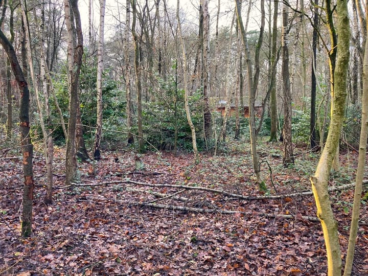 Foto 3 van Hazenpad 7