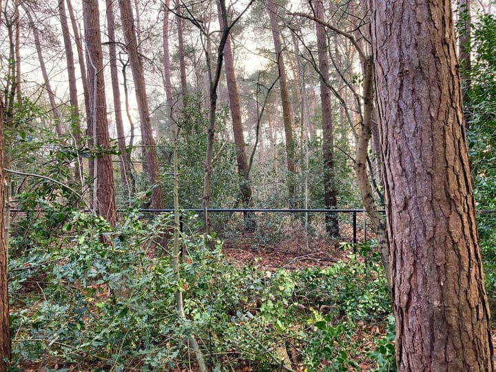 Foto 6 van Hazenpad 7