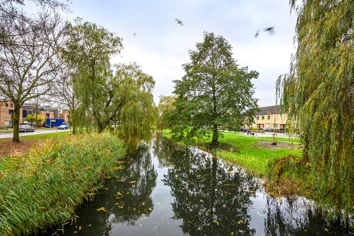 Foto 27 van Louis Paul Boonstraat 32