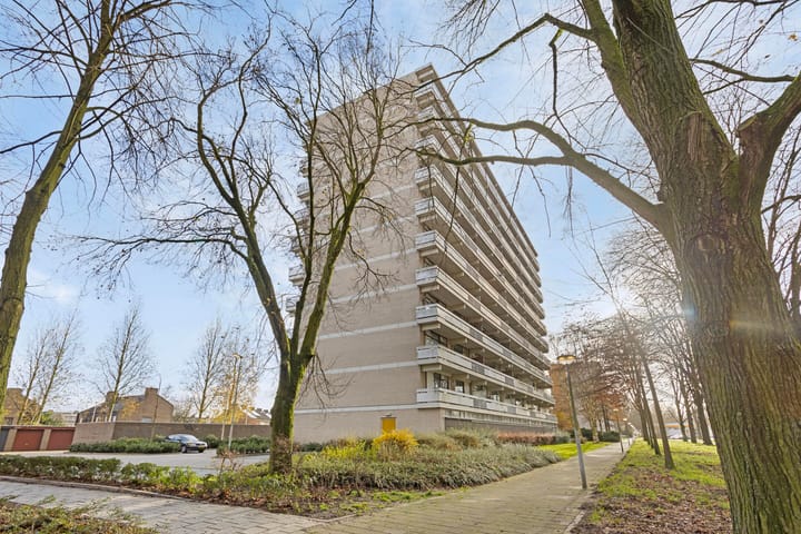 Foto 7 van de Koppele 487