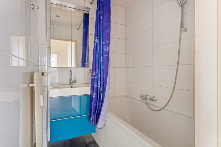 Foto 5 van de Koppele 487