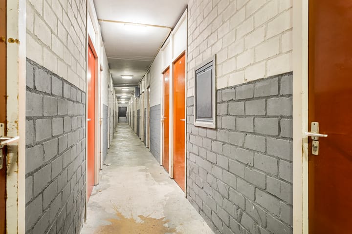 Foto 24 van de Koppele 487