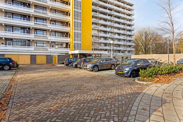 Foto 26 van de Koppele 487