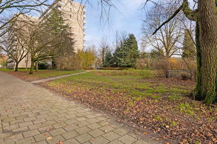 Foto 27 van de Koppele 487