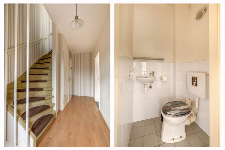 Foto 10 van Begoniastraat 2