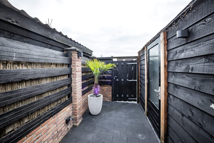 Foto 38 van De Bonte Specht 4