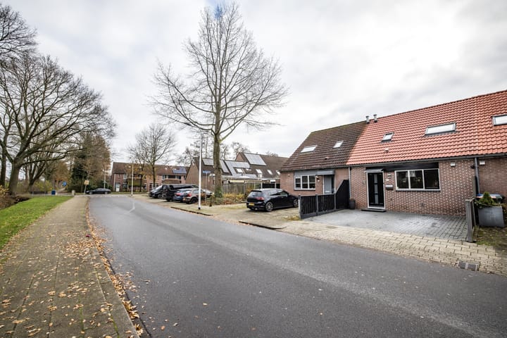 Foto 40 van De Bonte Specht 4