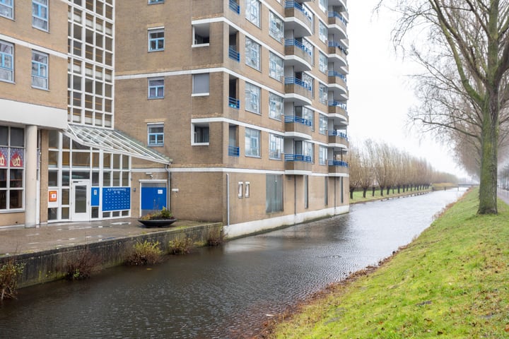 Bekijk foto 3 van Rietdekkerweg 100