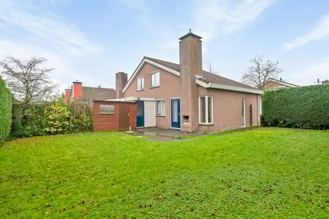 undefined main image