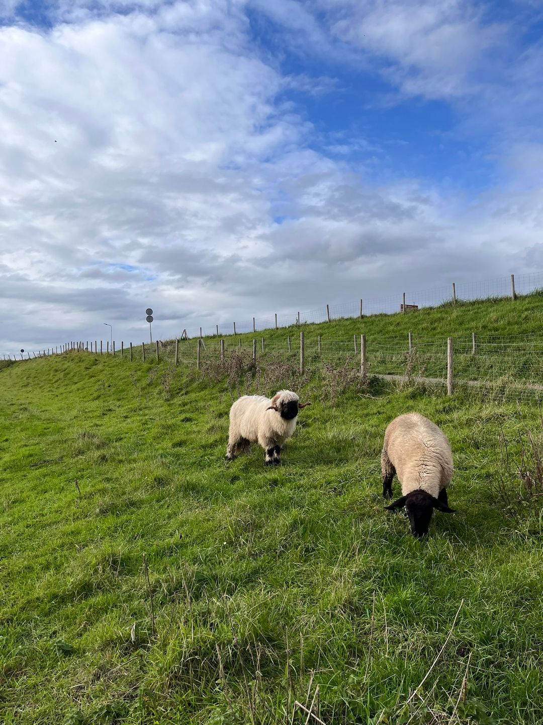 Foto 26 van Helleweg 8