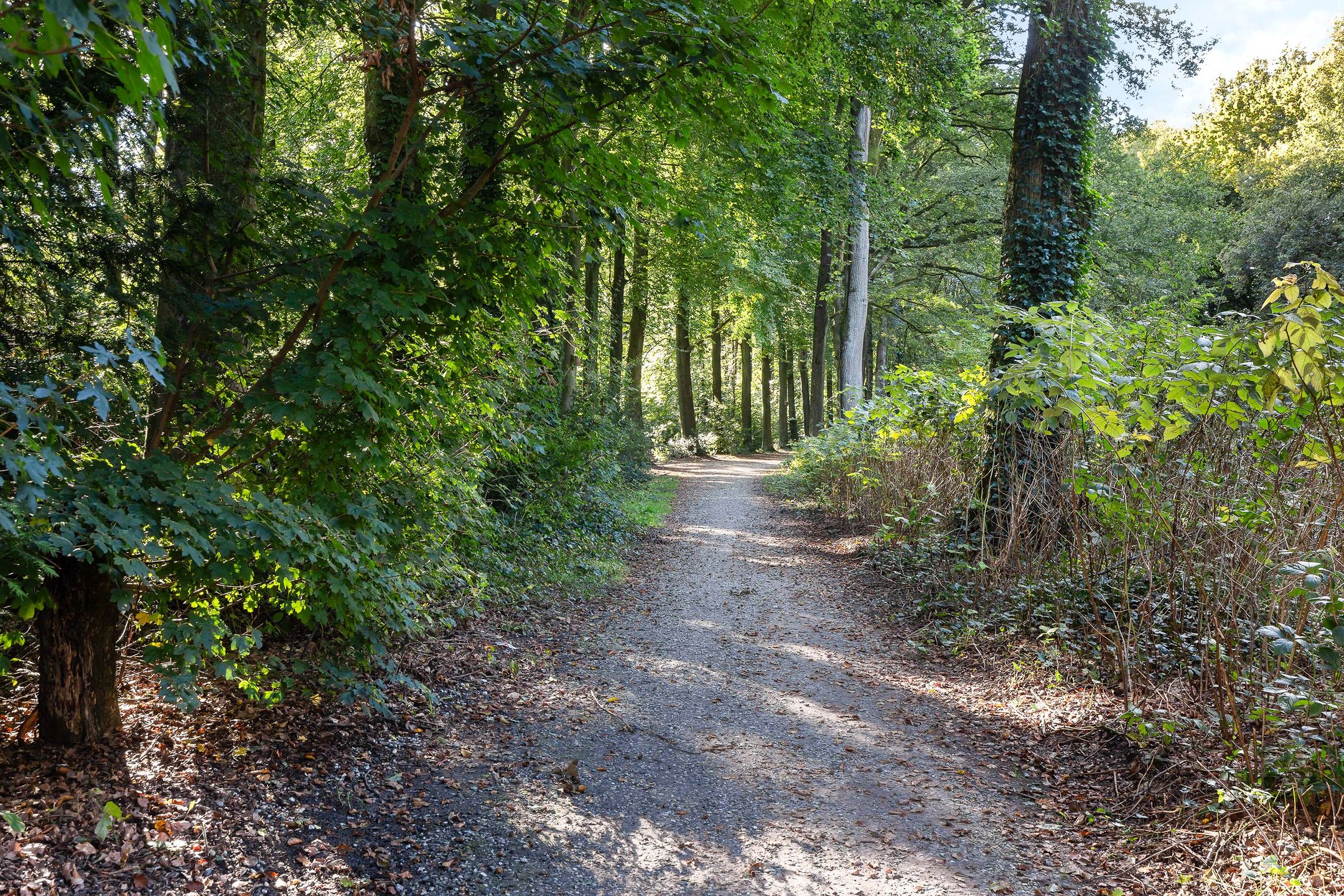 Foto 96 van Kayersdijk 122