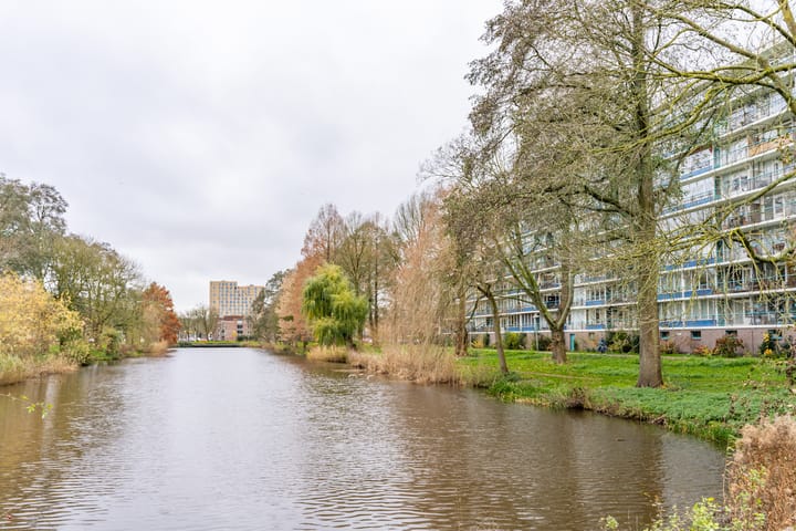 Foto 3 van Rhodosdreef 120