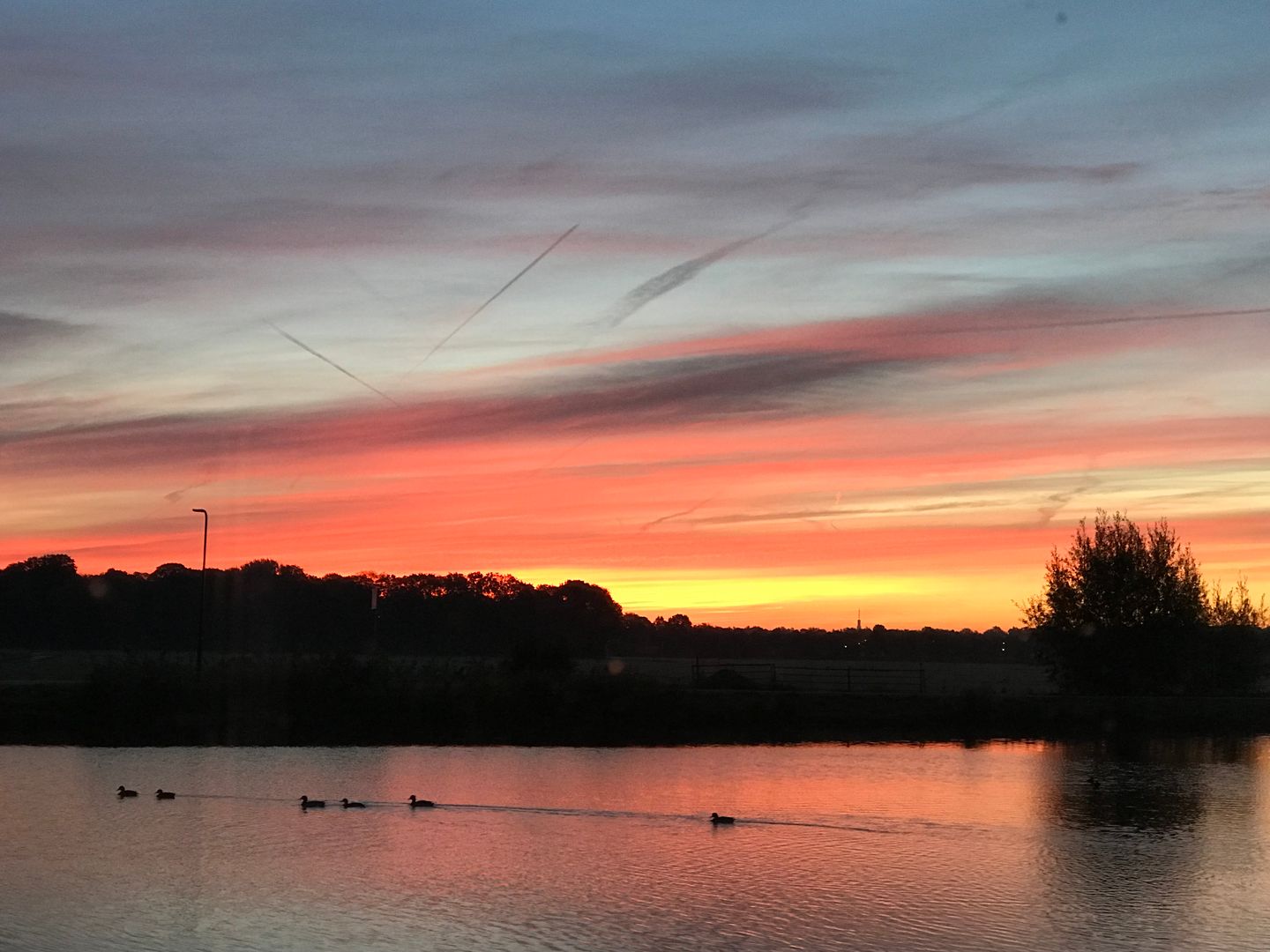 Foto 80 van Vreelandseweg 83