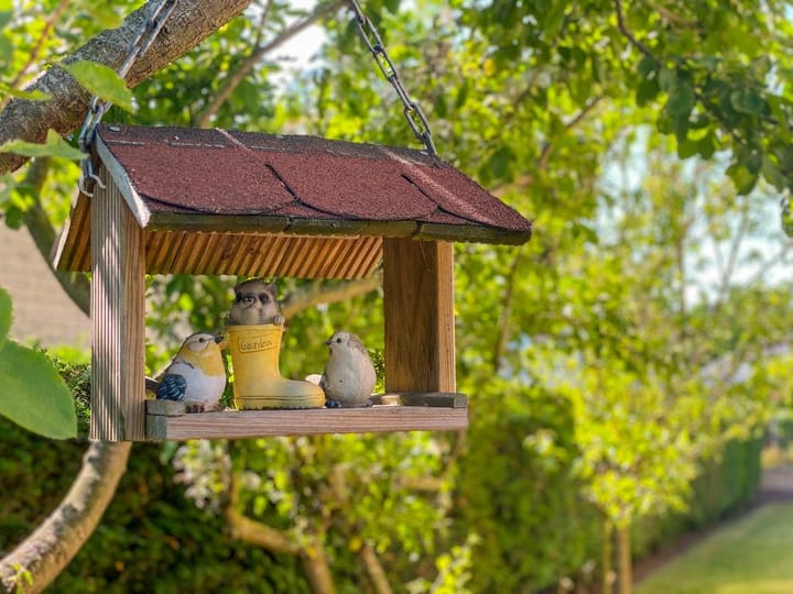 Foto 55 van Oudaen 49