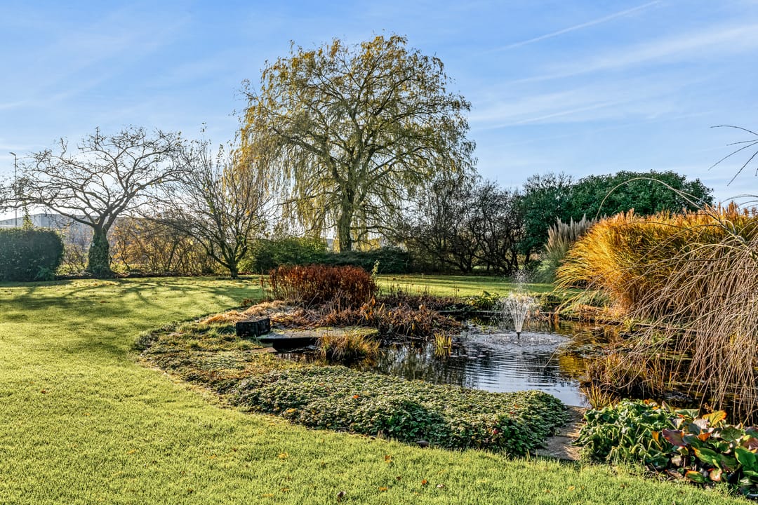 Photo 46 of Haarsteeg 1