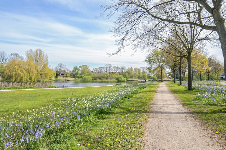 Bekijk foto 35 van Heelkruid 60