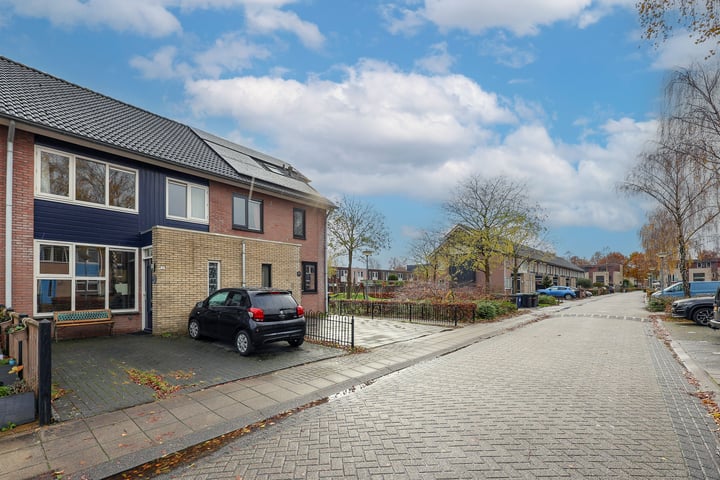 View photo 40 of Paulus Potterstraat 28