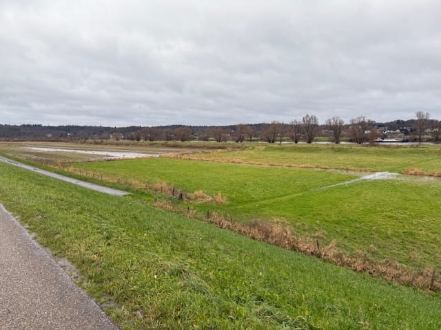 Photo 4 of Drielse Rijndijk 107