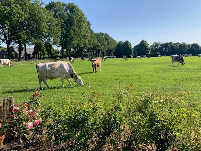 Foto 5 van Sint Josephstraat 44