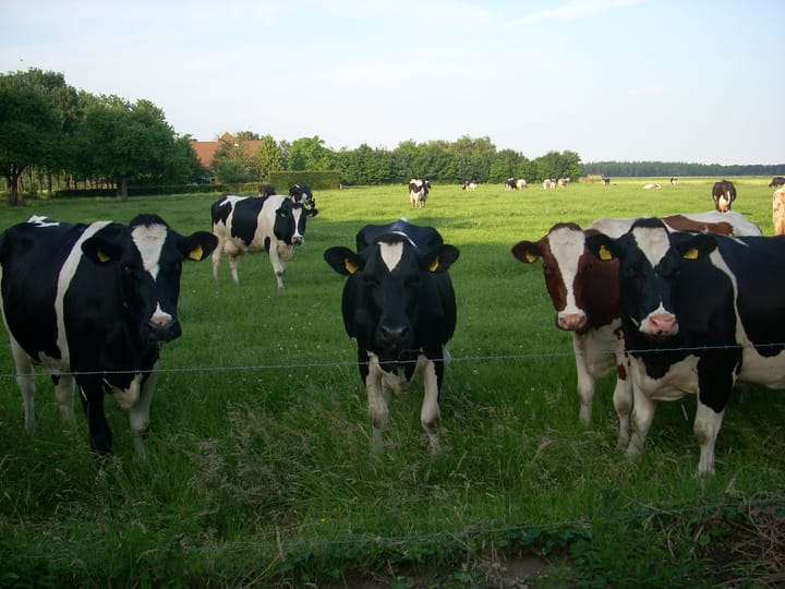 Foto 42 van Sint Josephstraat 44