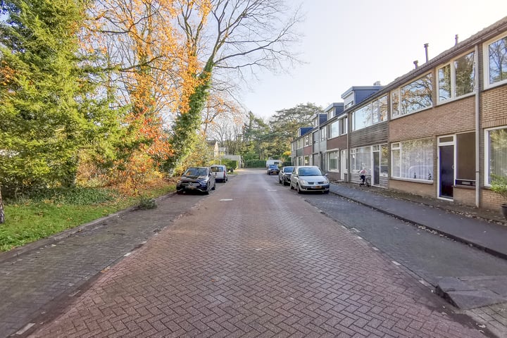 Bekijk foto 45 van Frans Erensstraat 18