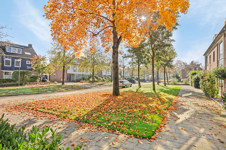 Foto 29 van Pelsakker 16