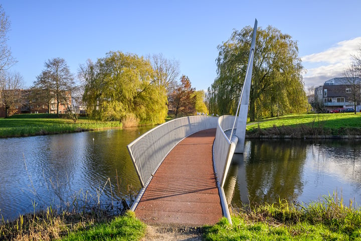 Bekijk foto 38 van Poëziestraat 396