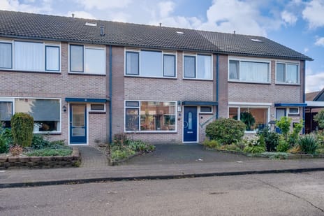 undefined main image