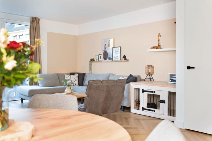 Foto 3 van Hanzeboulevard 17