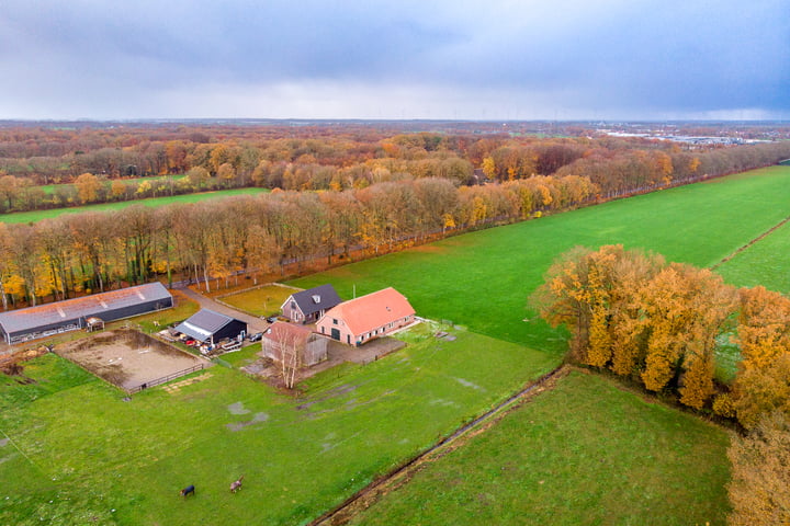 Bekijk foto 55 van Laanzichtsweg 8