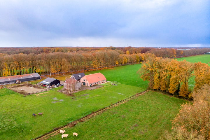 Bekijk foto 56 van Laanzichtsweg 8