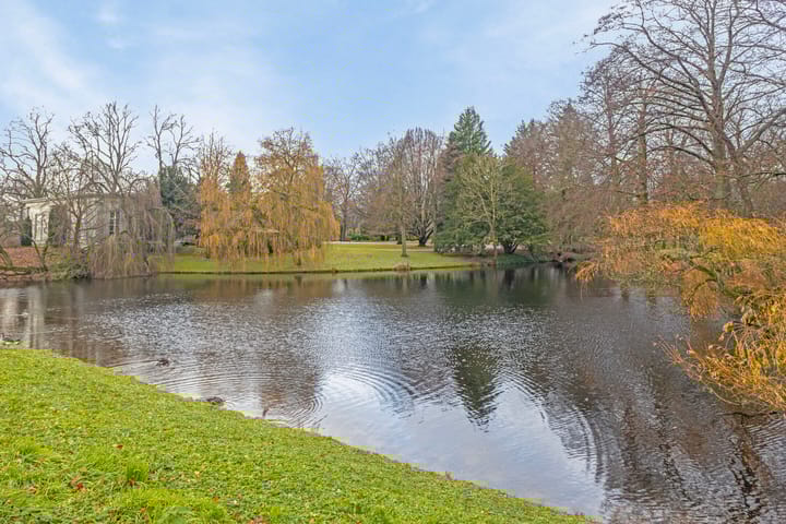 Foto 29 van Berkenlaan 14