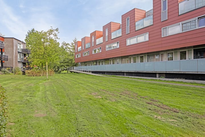 Foto 5 van Meerval 156