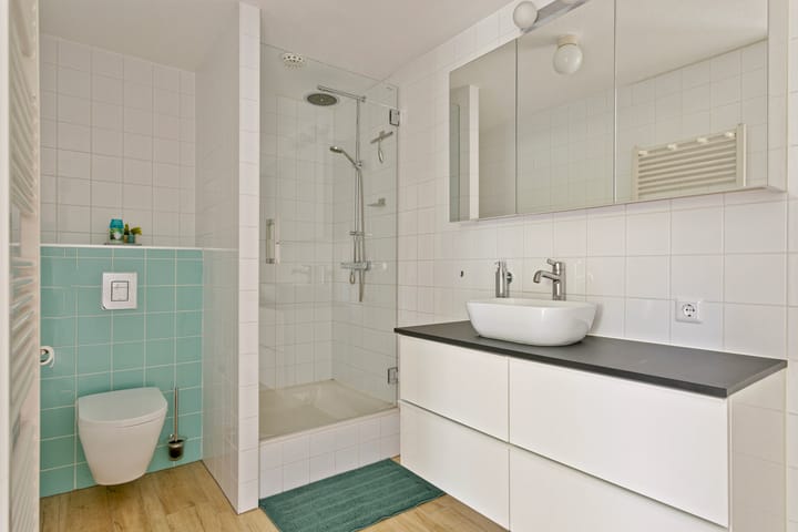 Foto 12 van Meerval 156