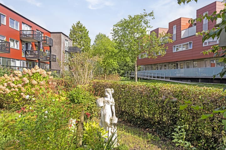 Foto 37 van Meerval 156