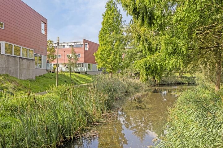 Foto 38 van Meerval 156