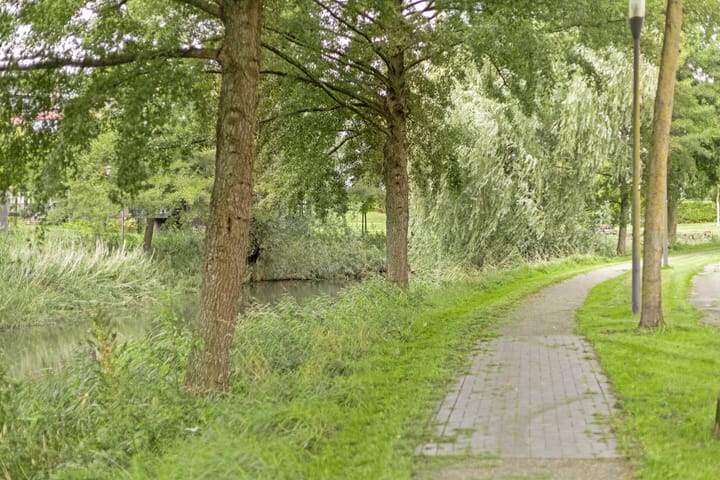 Foto 39 van Meerval 156