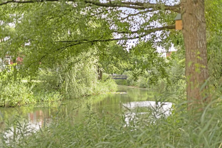 Foto 41 van Meerval 156